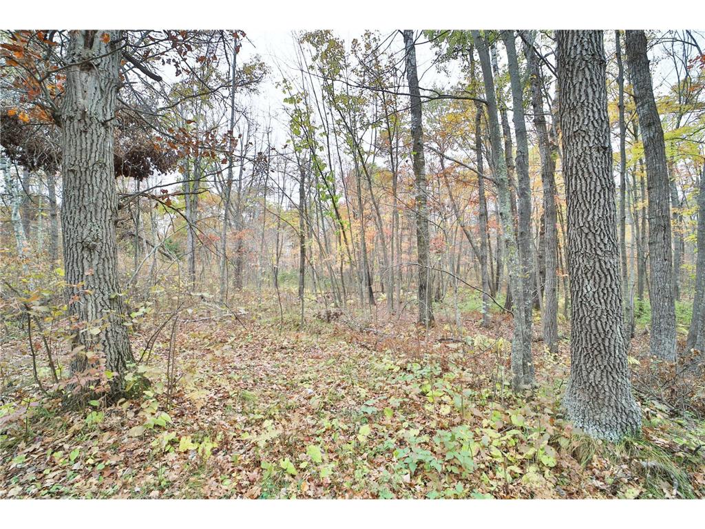 1022 Rock Elm Trail NW Pine River MN 56474 - TWO 6797855 image5