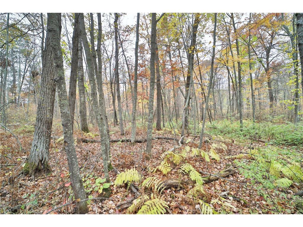 1022 Rock Elm Trail NW Pine River MN 56474 - TWO 6797855 image6