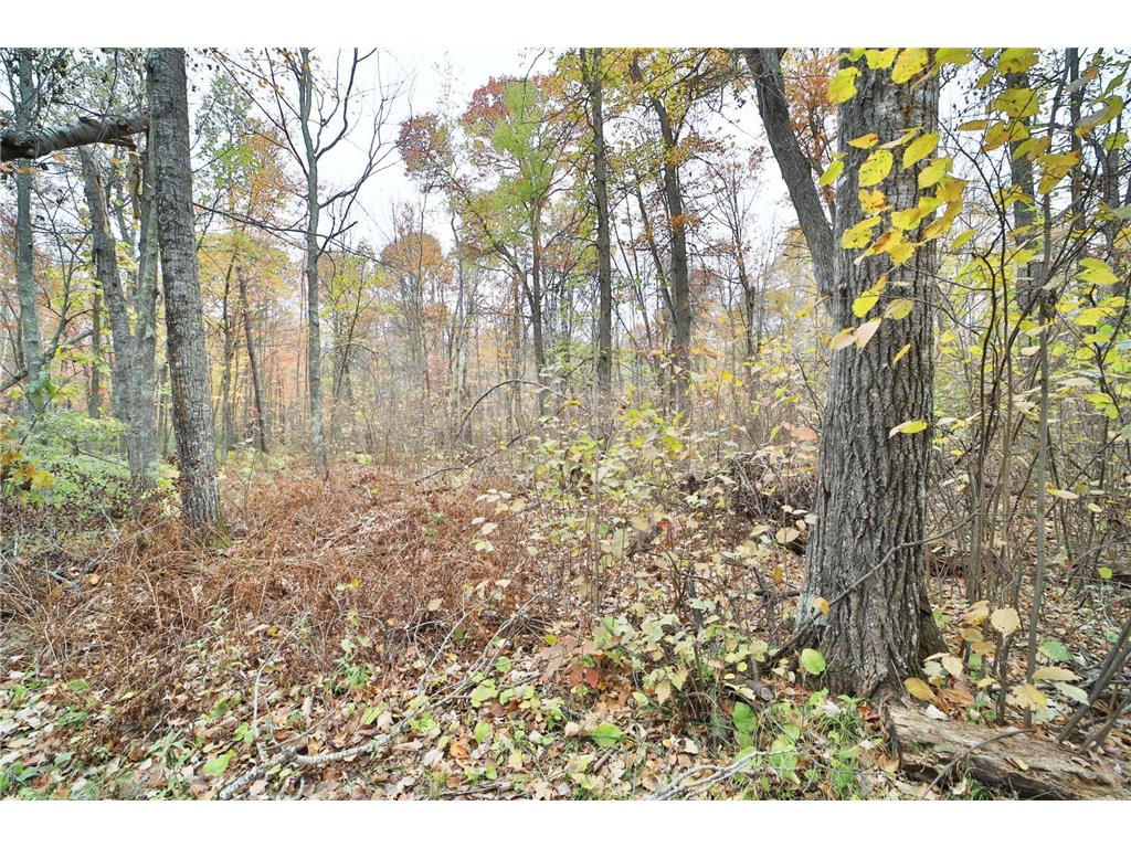 1022 Rock Elm Trail NW Pine River MN 56474 - TWO 6797855 image7