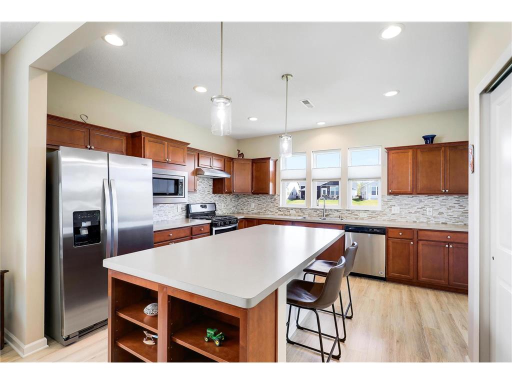 10224 Ironwood Lane Corcoran MN 55374 7072361 image12