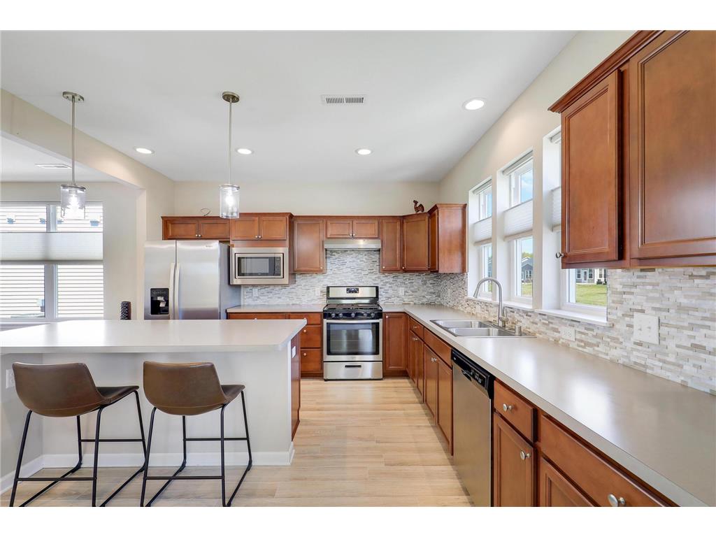 10224 Ironwood Lane Corcoran MN 55374 7072361 image13