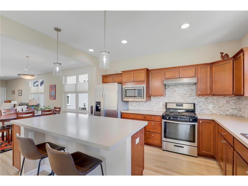 10224 Ironwood Lane Corcoran MN 55374 7072361 image14