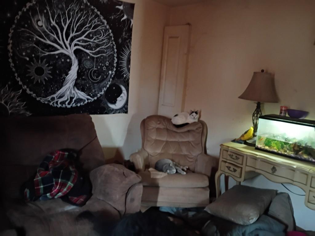 1023 South Street Jackson MN 56143 7018760 image9