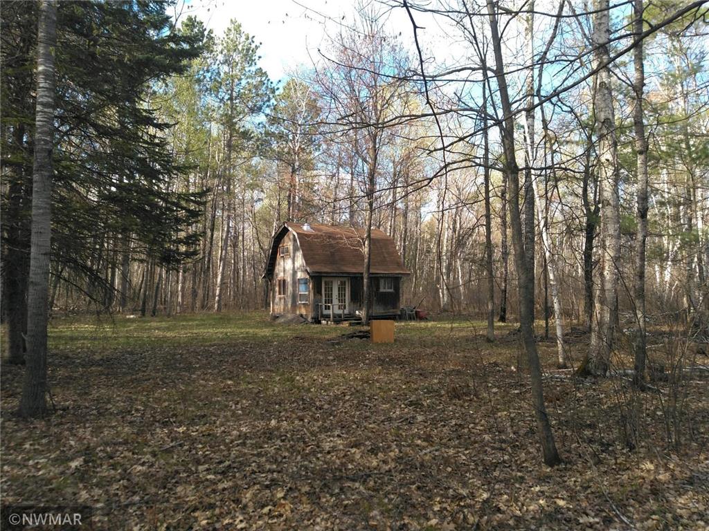 10230 Quetzal Drive, Lake Hattie Twp, MN, 56678 MLS 7270745 Edina