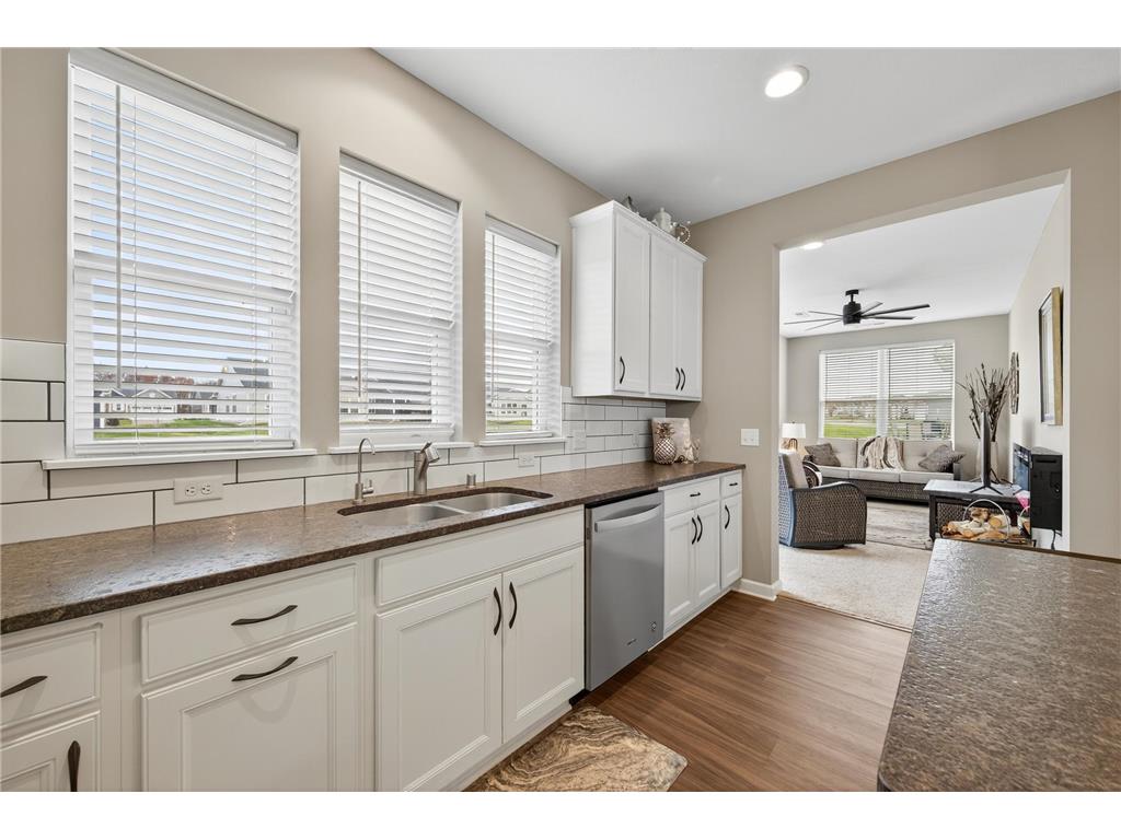 10232 Ironwood Lane Corcoran MN 55374 6818274 image15