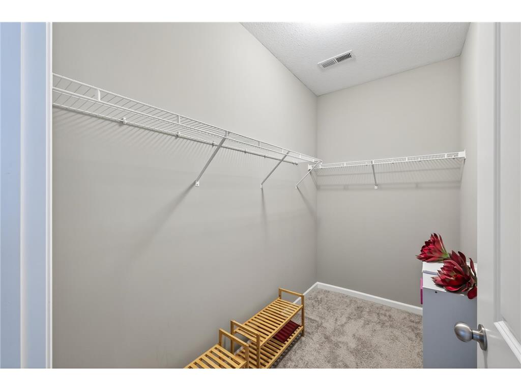 10232 Ironwood Lane Corcoran MN 55374 6818274 image23