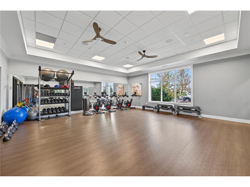 10232 Ironwood Lane Corcoran MN 55374 6818274 image41