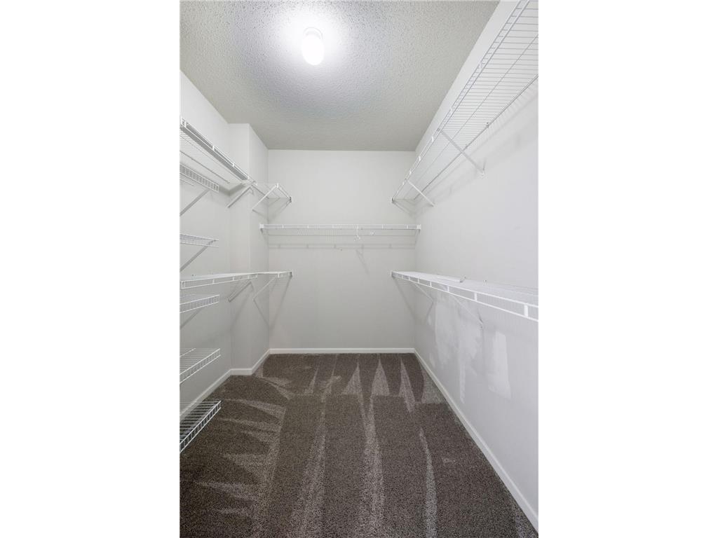 10254 Bleeker Street Woodbury MN 55129 7104088 image27