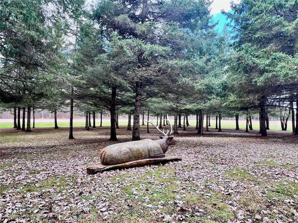 10261 Wien Road Field Twp MN 55723 7065887 image52
