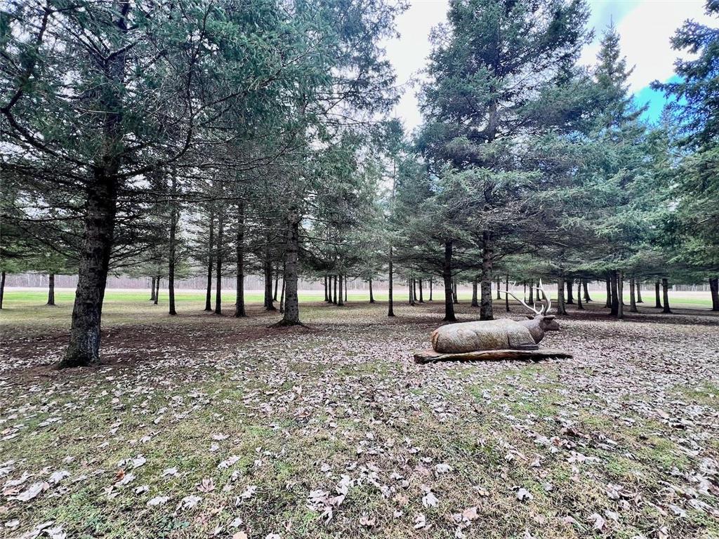 10261 Wien Road Field Twp MN 55723 7065887 image53