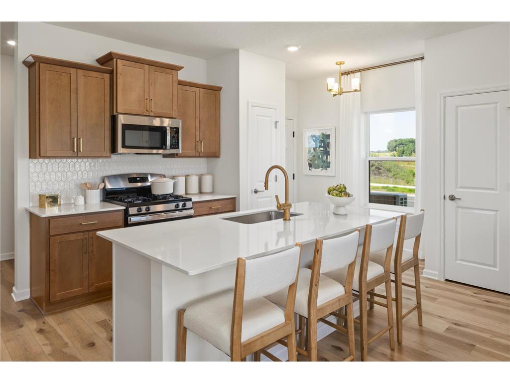 10268 Birchwood Circle Victoria MN 55318 7038159 image1