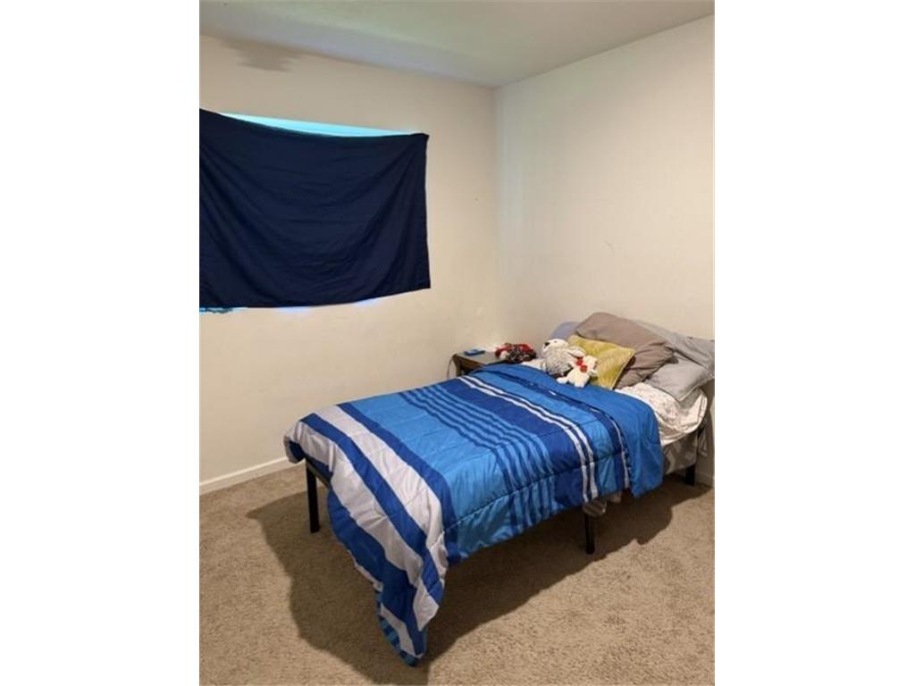 1027 White Tail Lane Montrose MN 55363 7089908 image38
