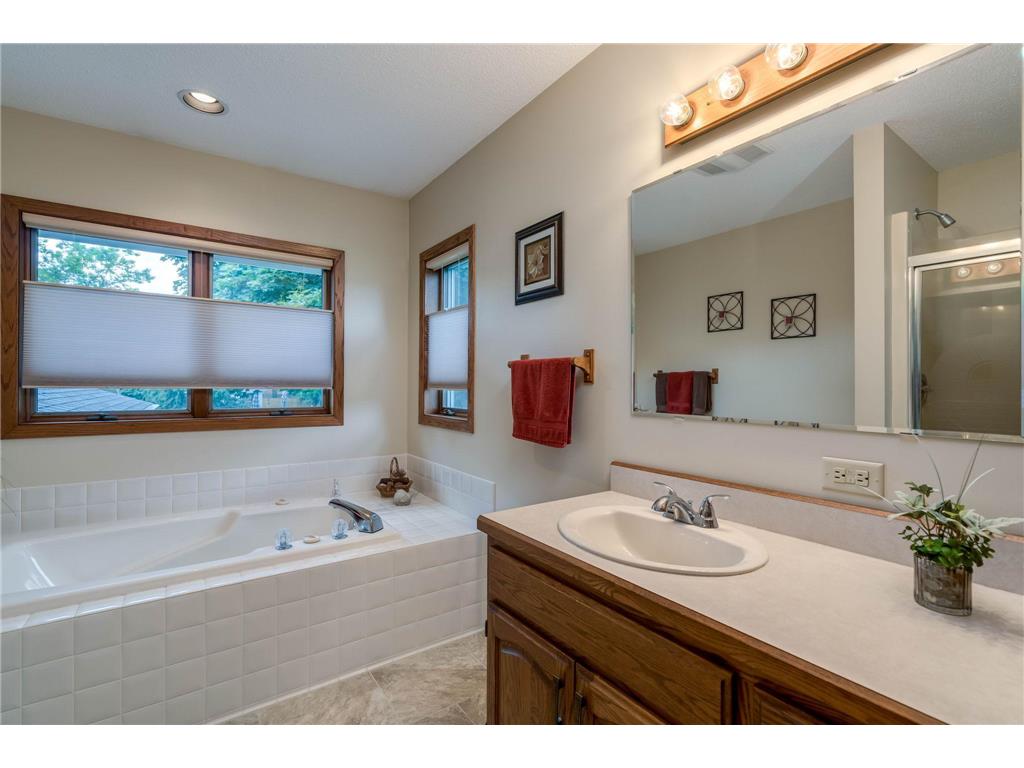 1028 Shady Oak Drive North Mankato MN 56003 7104539 image25