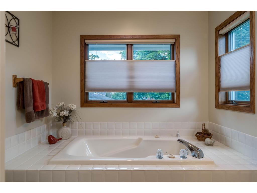 1028 Shady Oak Drive North Mankato MN 56003 7104539 image26