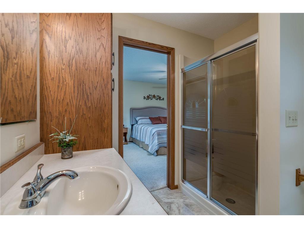 1028 Shady Oak Drive North Mankato MN 56003 7104539 image27