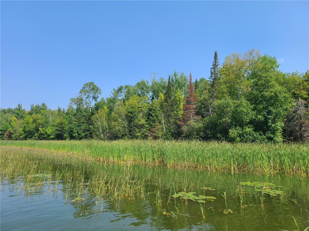 10281 Sullivan Bay Orr MN 55771 - Ash River 6428009 image32