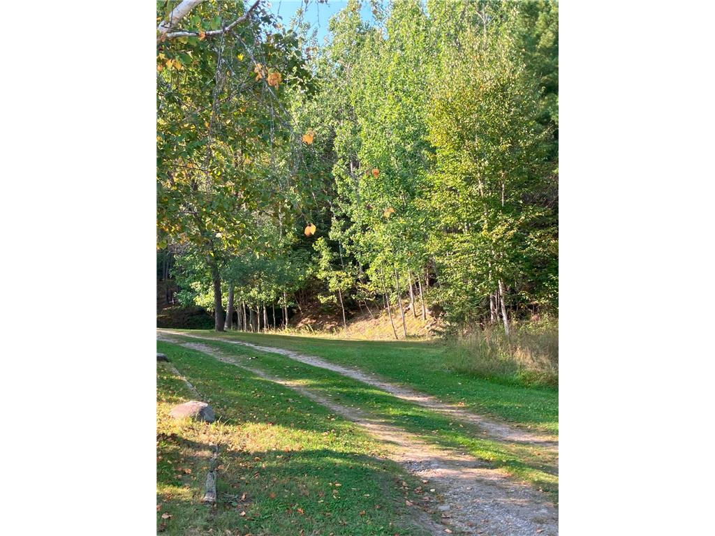 10294 Ash River Trail Orr MN 55771 - Ash River 6793543 image25