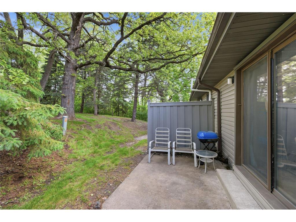 103 30th Avenue NW New Brighton MN 55112 7089750 image24