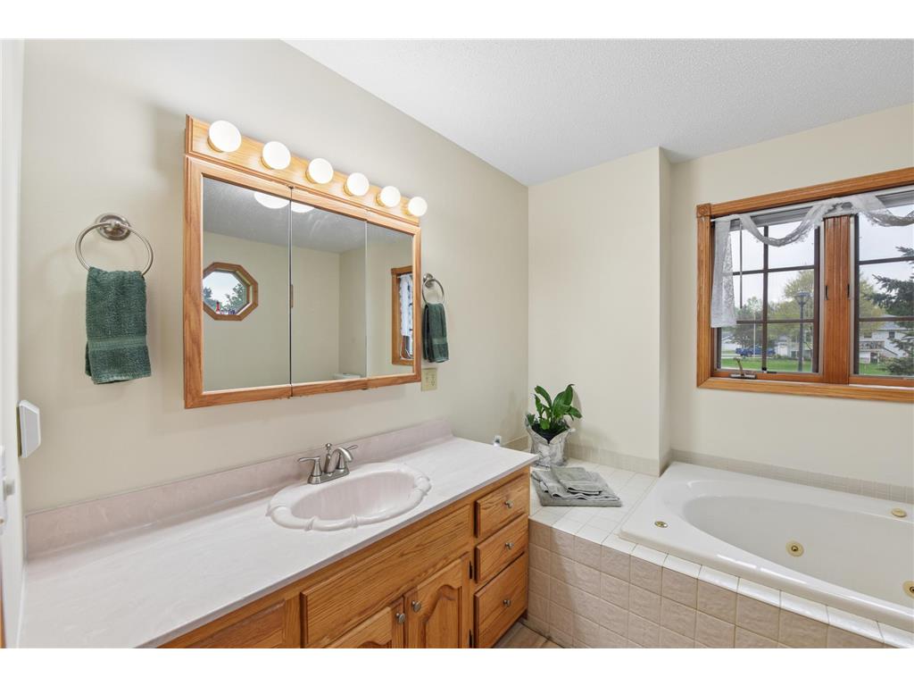 103 Ivy Drive Woodville WI 54028 7077407 image14
