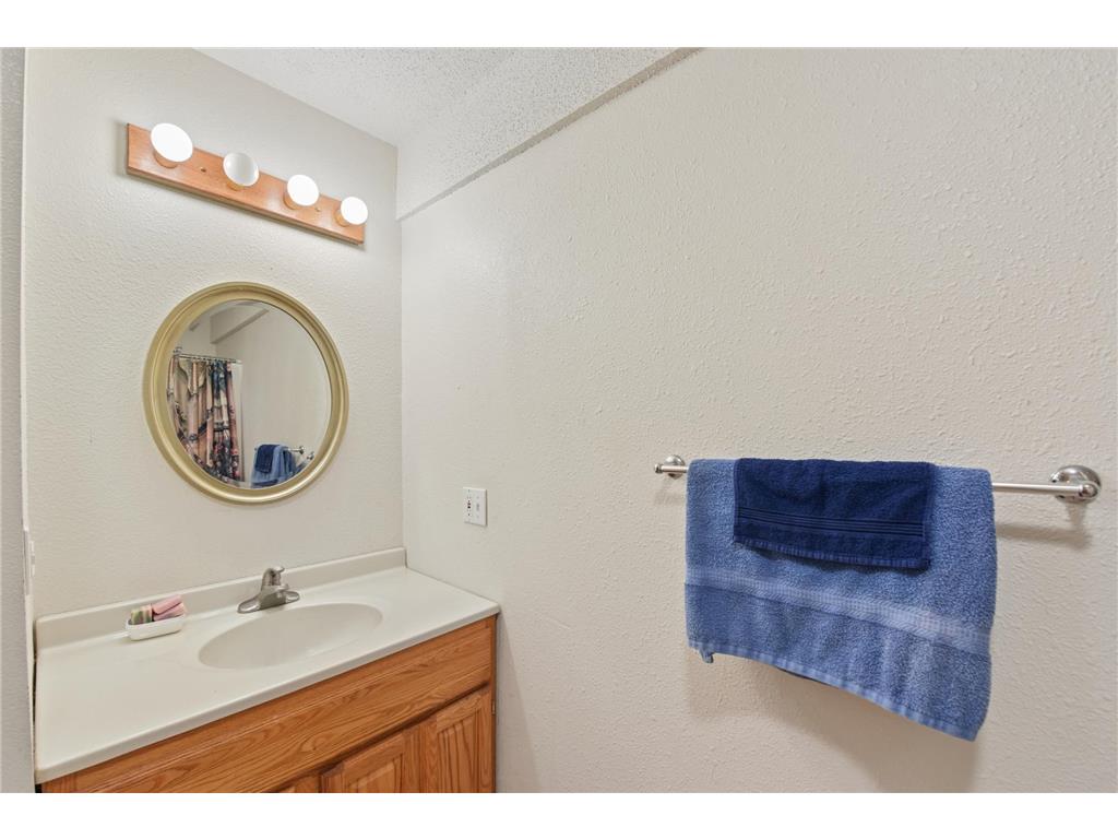 103 Ivy Drive Woodville WI 54028 7077407 image21