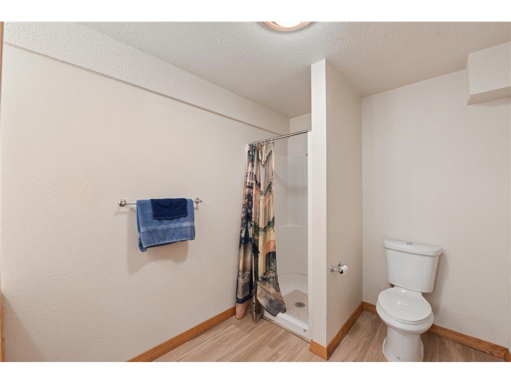 103 Ivy Drive Woodville WI 54028 7077407 image22