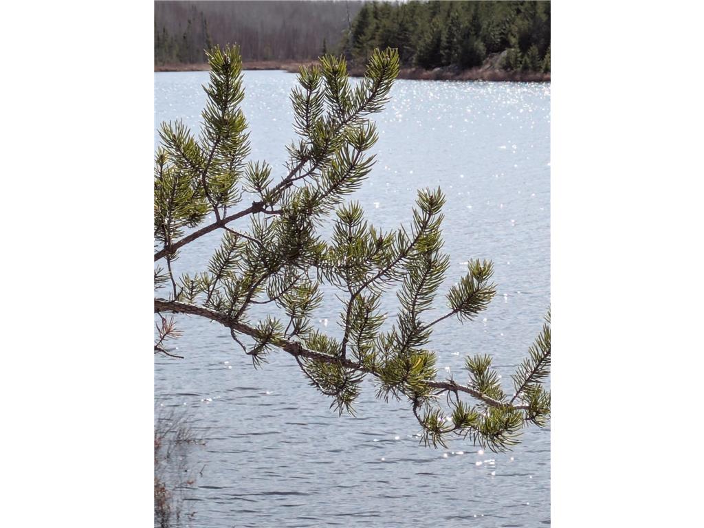 103 Onagon Lake Road Grand Marais MN 55604 - Onagon 7066300 image11