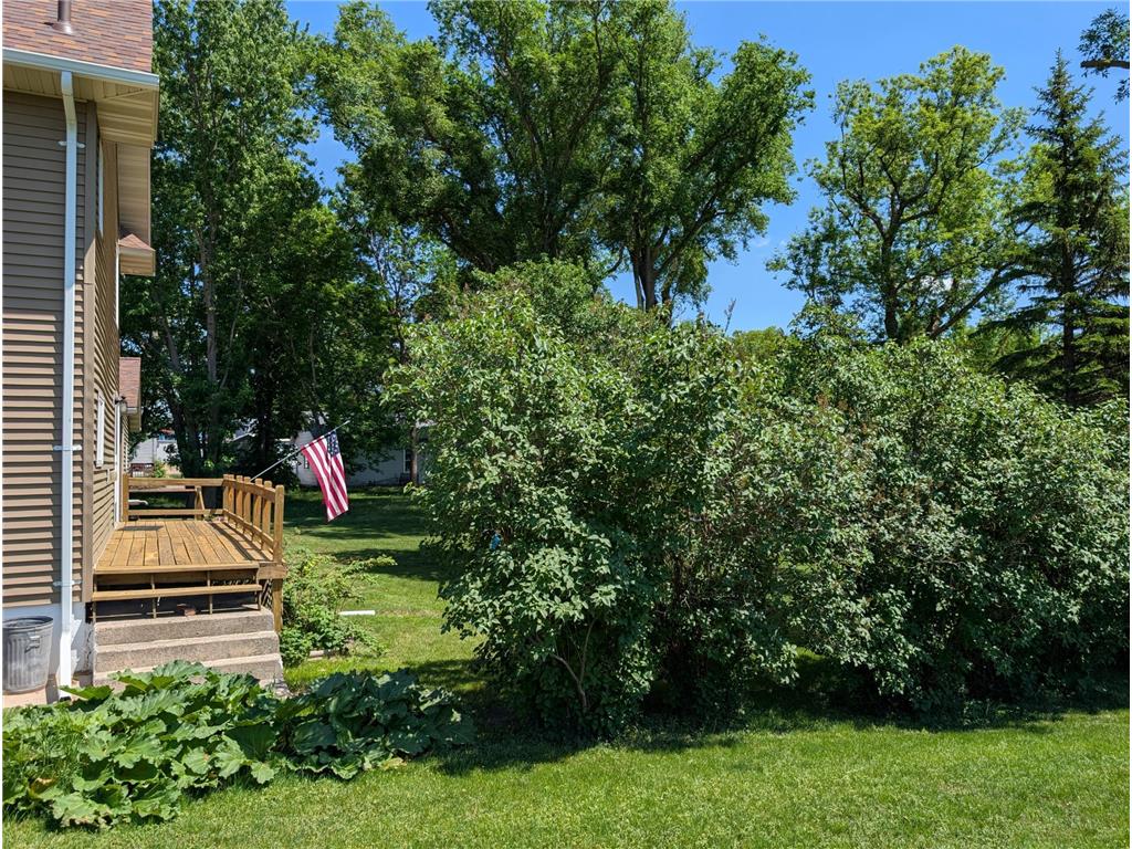 103 Saint Albans Street Lynd MN 56157 7073759 image17