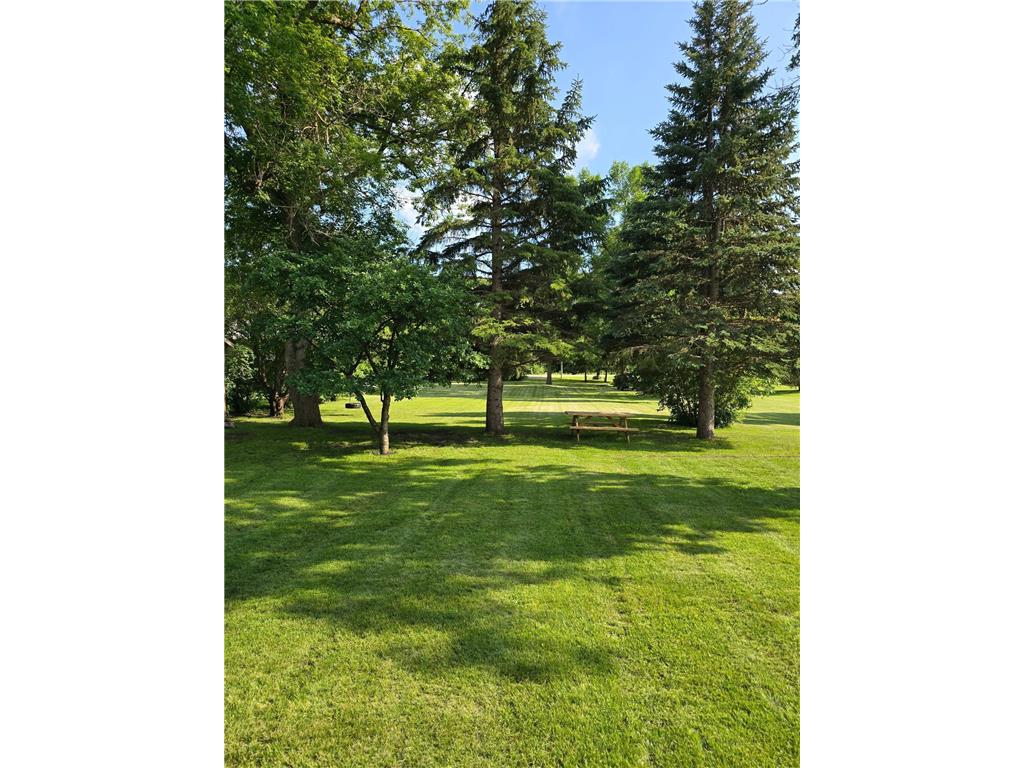 103 Saint Albans Street Lynd MN 56157 7073759 image24