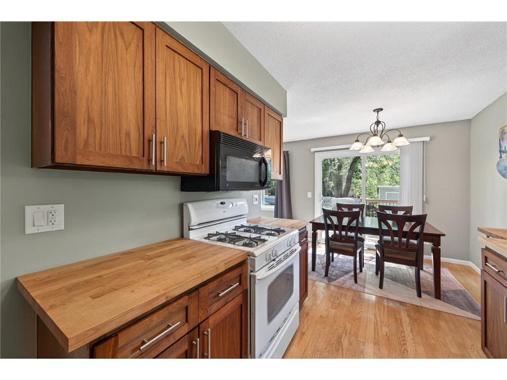 1030 Whitney Drive Apple Valley MN 55124 7068845 image13