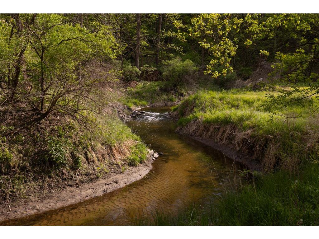 10300 Riverview Road Eden Prairie MN 55347 - Purgatory Creek 7074303 image10