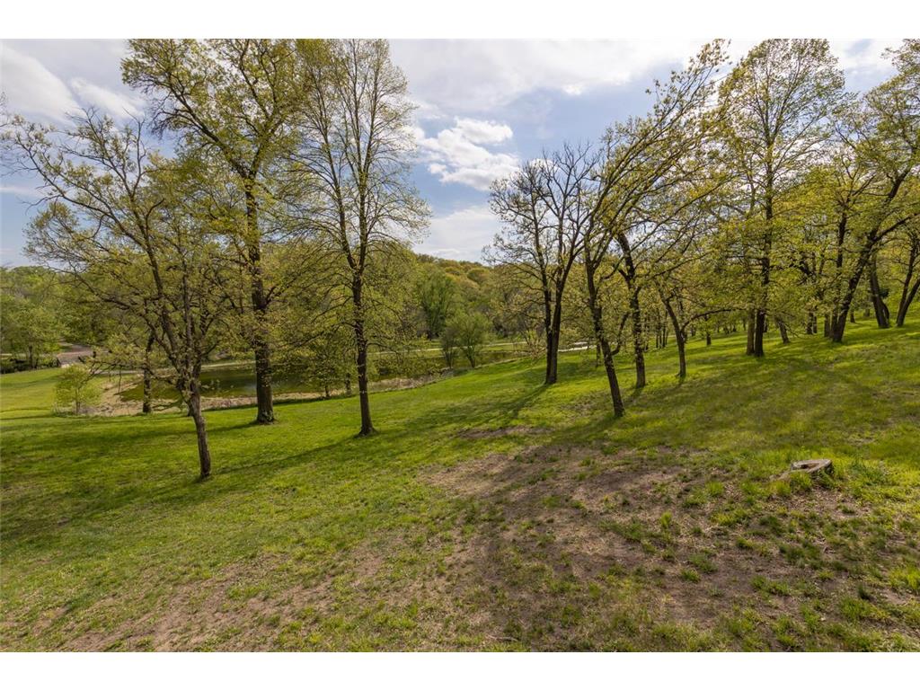 10300 Riverview Road Eden Prairie MN 55347 - Purgatory Creek 7074303 image8