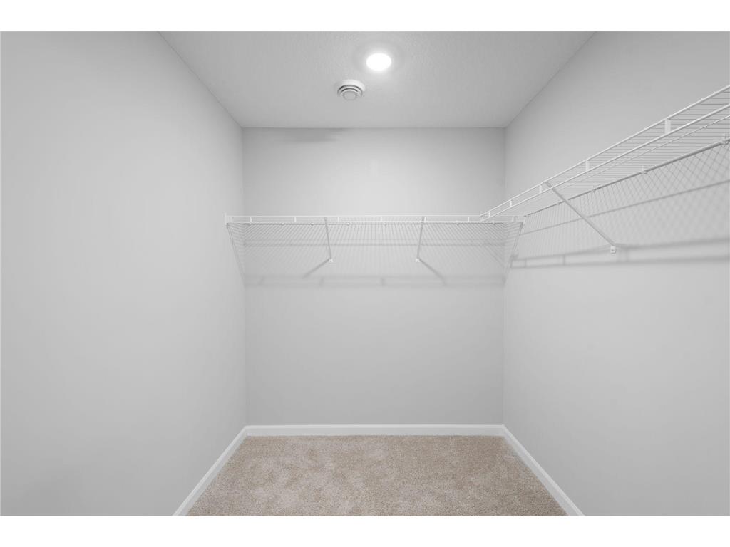 10306 Birchwood Circle Victoria MN 55318 7075541 image12