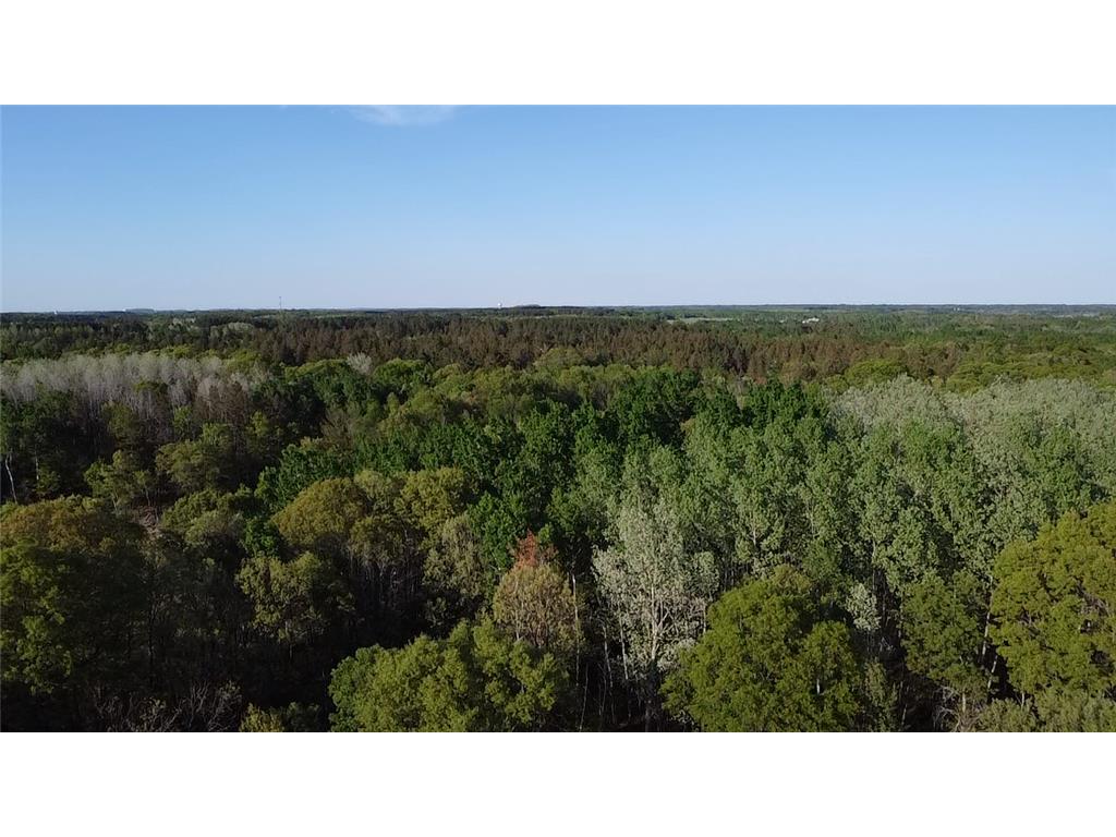 10308 S Oaks Road Crow Wing Twp MN 56401 7049426 image4