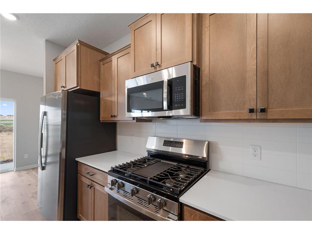 10314 Birchwood Circle Victoria MN 55318 7022511 image5