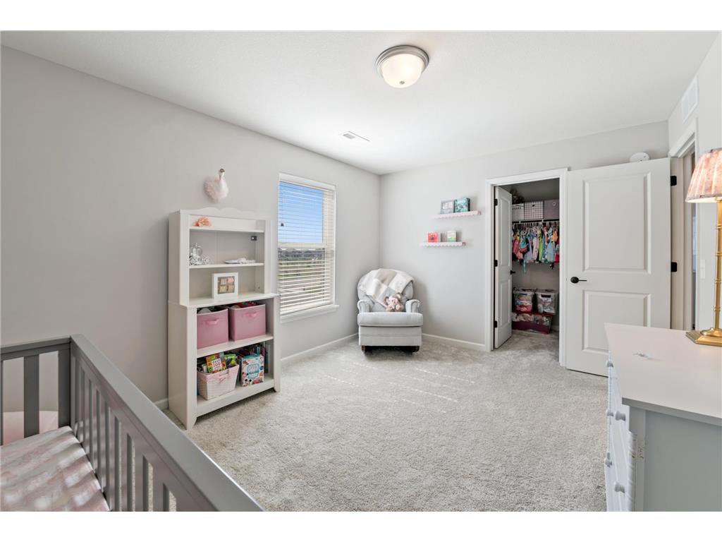 10318 McGregor Boulevard Woodbury MN 55129 6810548 image25