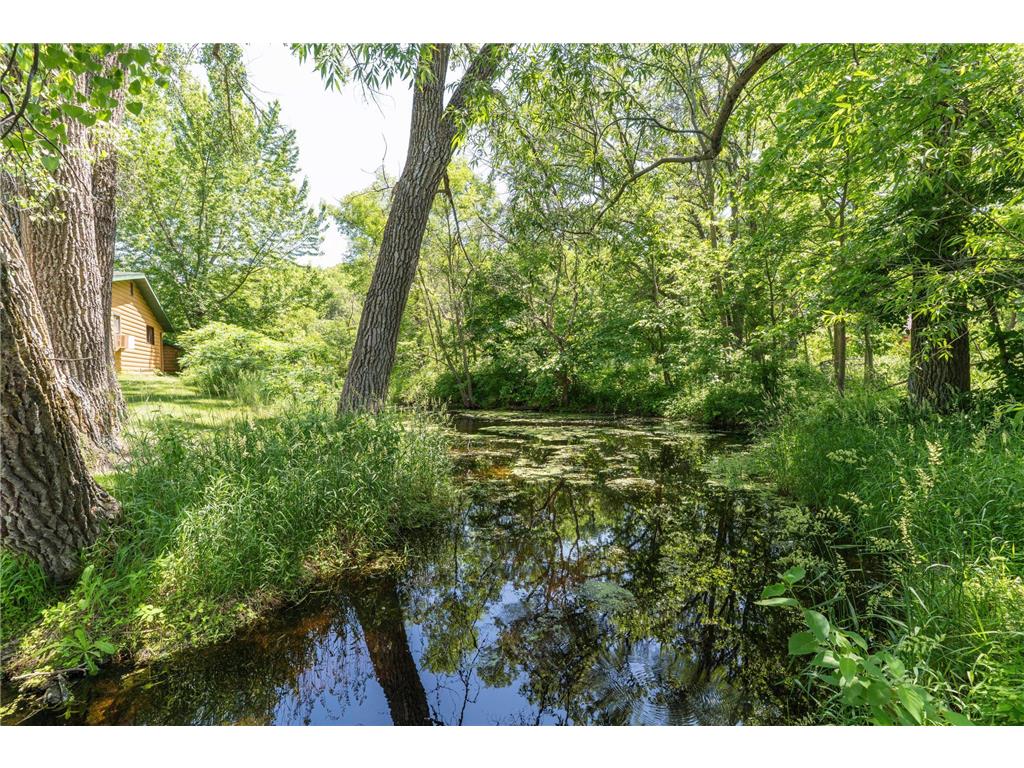 10321 County Road 58 NW Brandon MN 56315 - Chippewa 7054919 image44