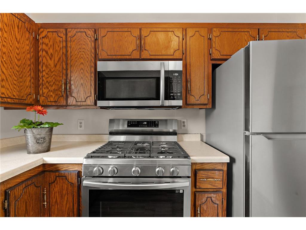 1033 121st Lane NW Coon Rapids MN 55448 7073829 image17