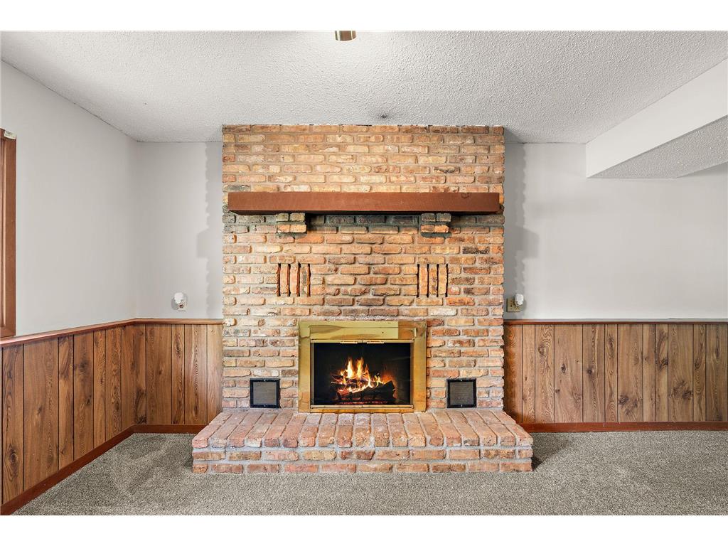 1033 121st Lane NW Coon Rapids MN 55448 7073829 image28