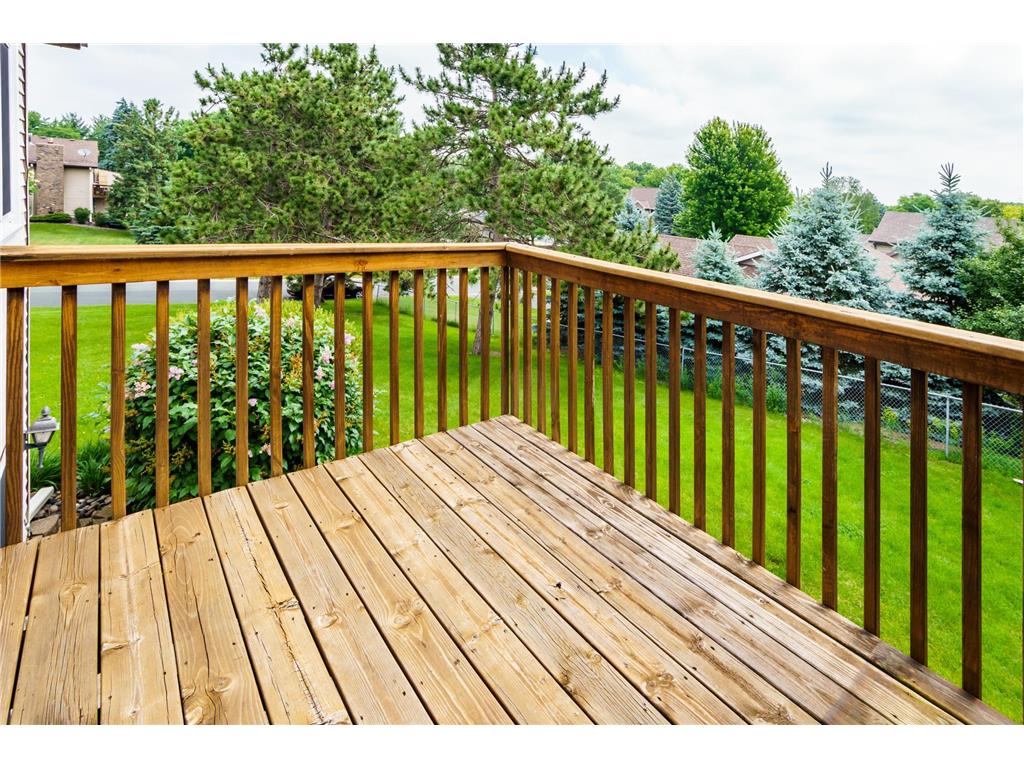 10332 Balsam Lane Eden Prairie MN 55347 7094623 image21