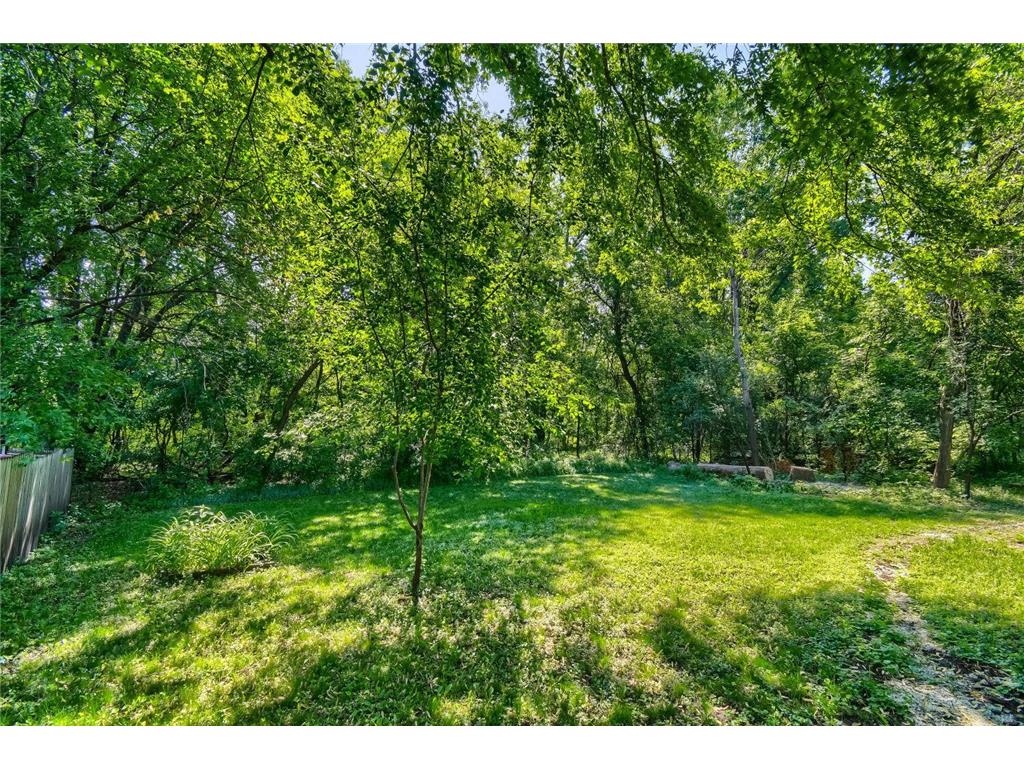 10347 Eagle Street NW Coon Rapids MN 55433 7081398 image27