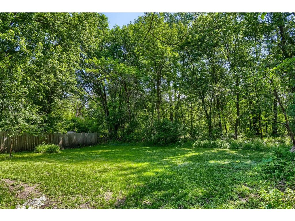 10347 Eagle Street NW Coon Rapids MN 55433 7081398 image28