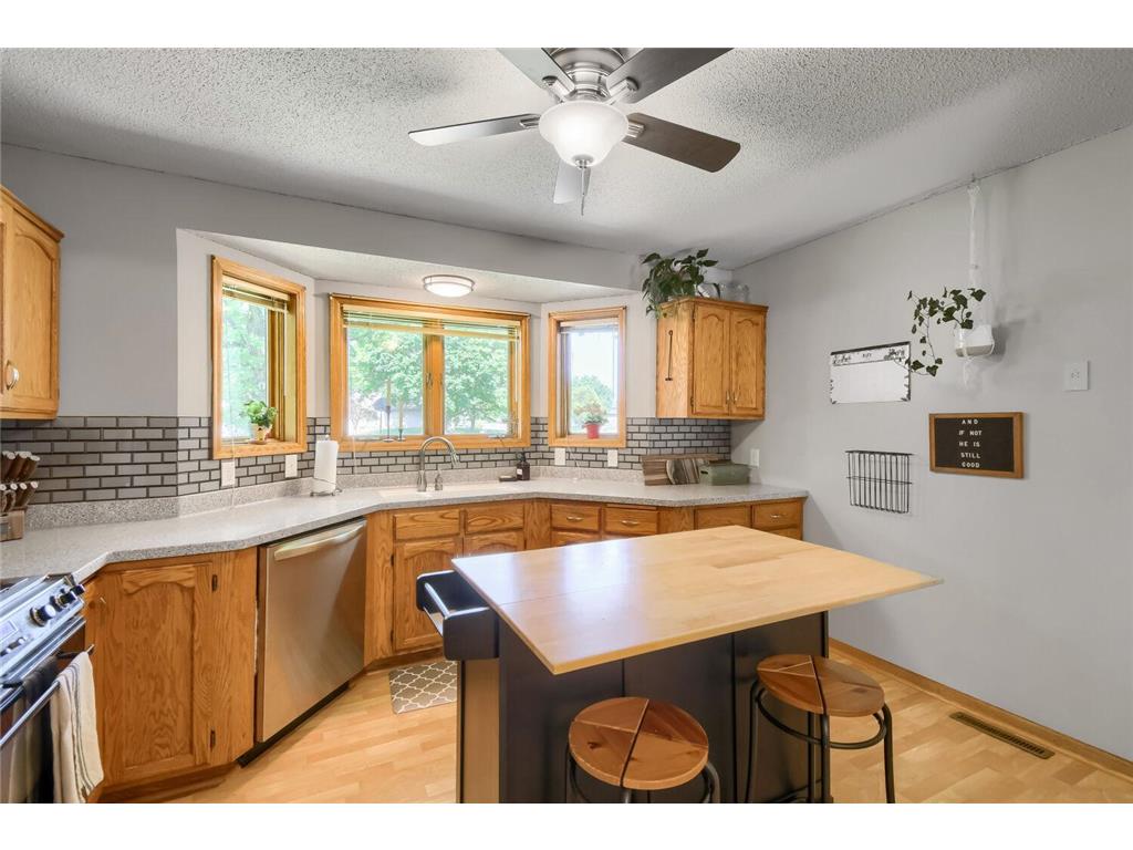 10347 Eagle Street NW Coon Rapids MN 55433 7081398 image8