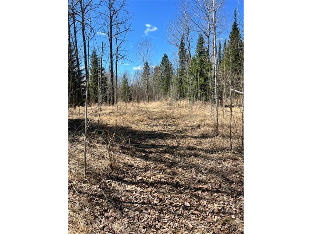 10354 County Road 553 Nashwauk Twp MN 55769 7066617 image17
