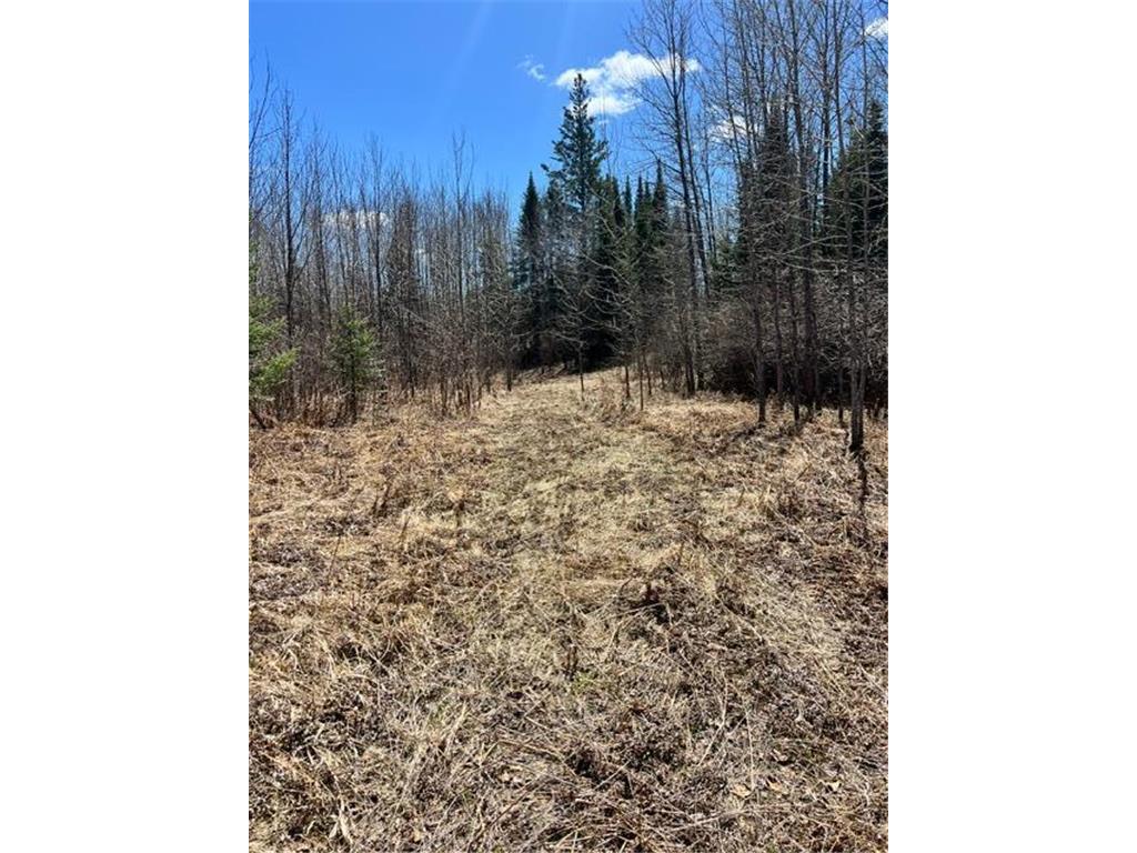 10354 County Road 553 Nashwauk Twp MN 55769 7066617 image22
