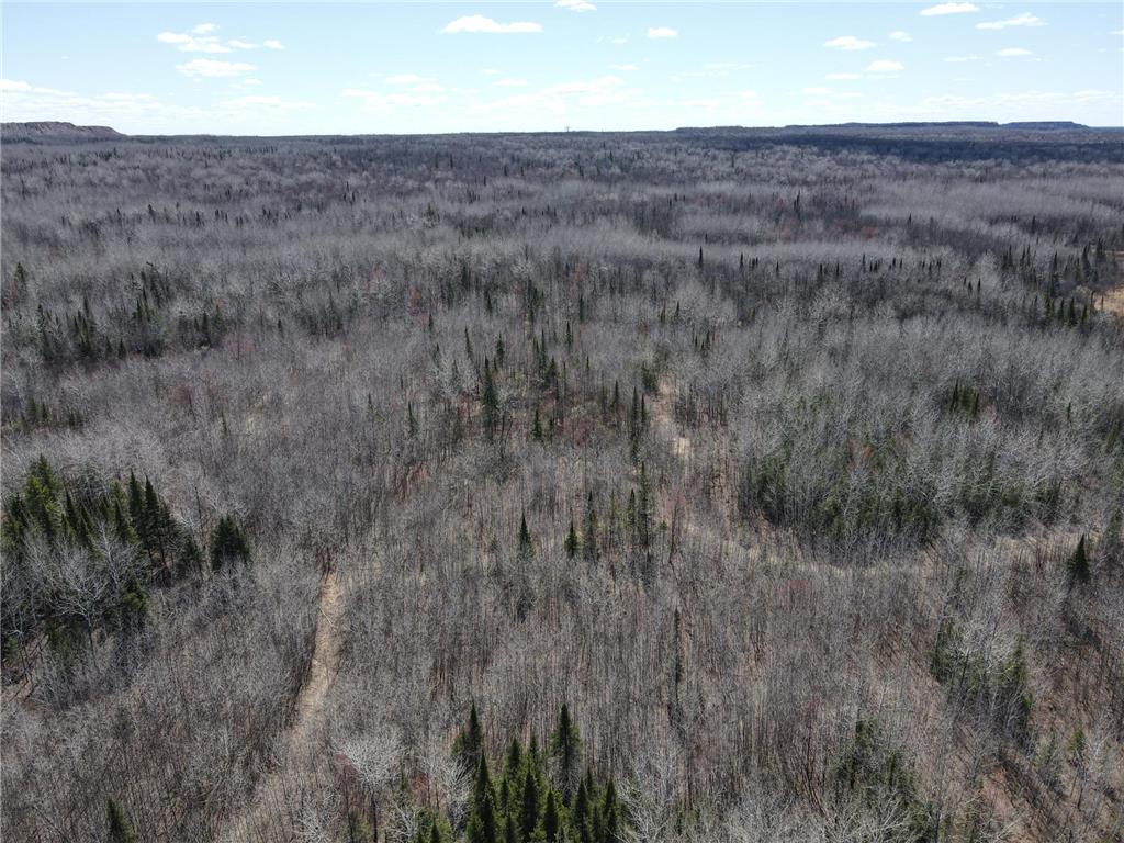 10354 County Road 553 Nashwauk Twp MN 55769 7066617 image23