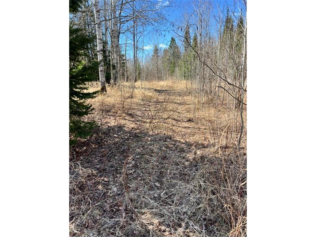 10354 County Road 553 Nashwauk Twp MN 55769 7066617 image30