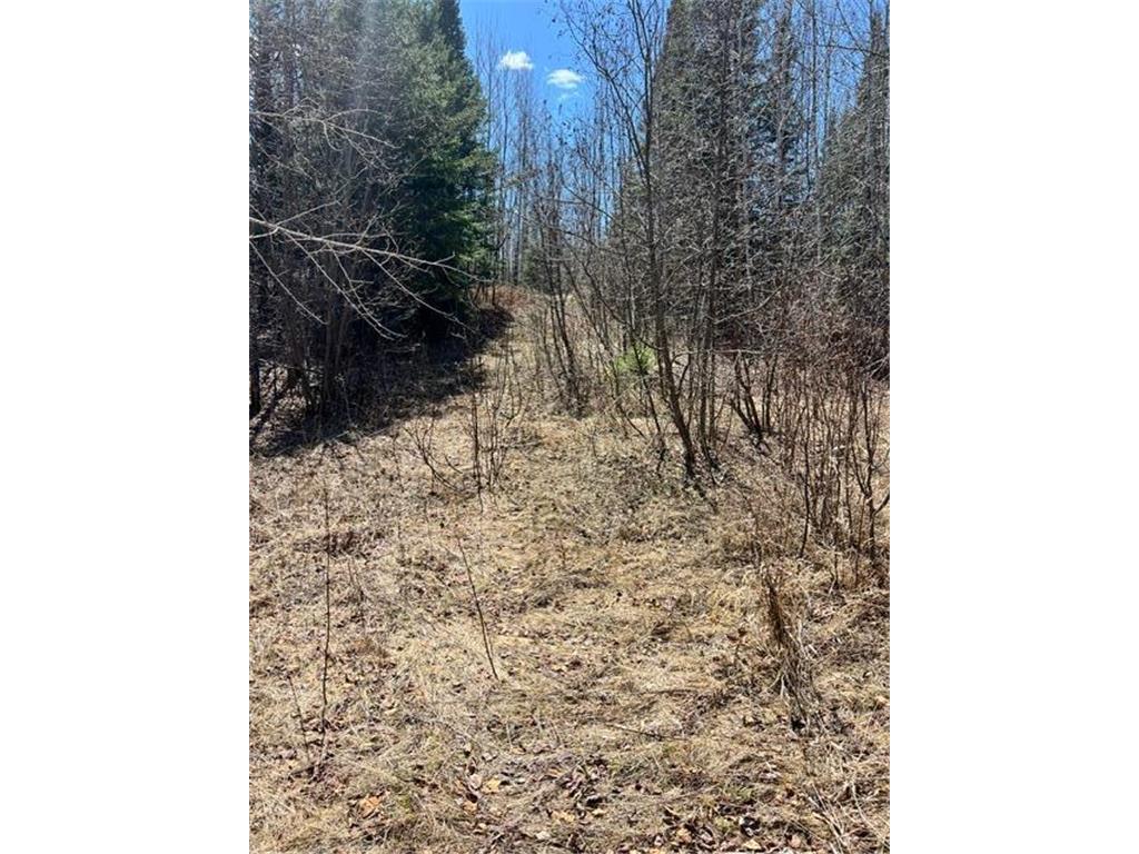 10354 County Road 553 Nashwauk Twp MN 55769 7066617 image32