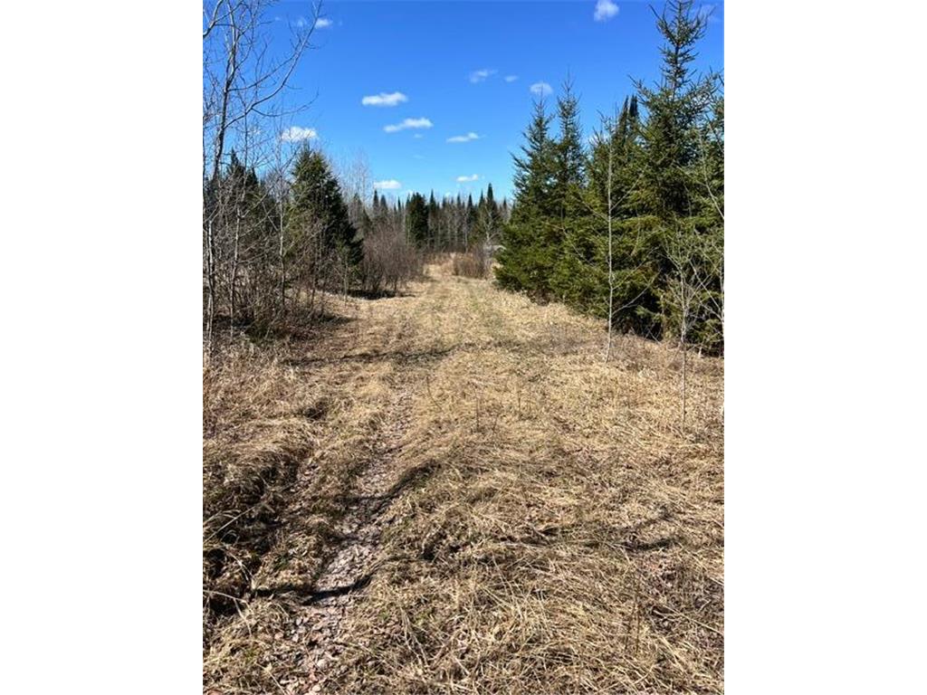 10354 County Road 553 Nashwauk Twp MN 55769 7066617 image34
