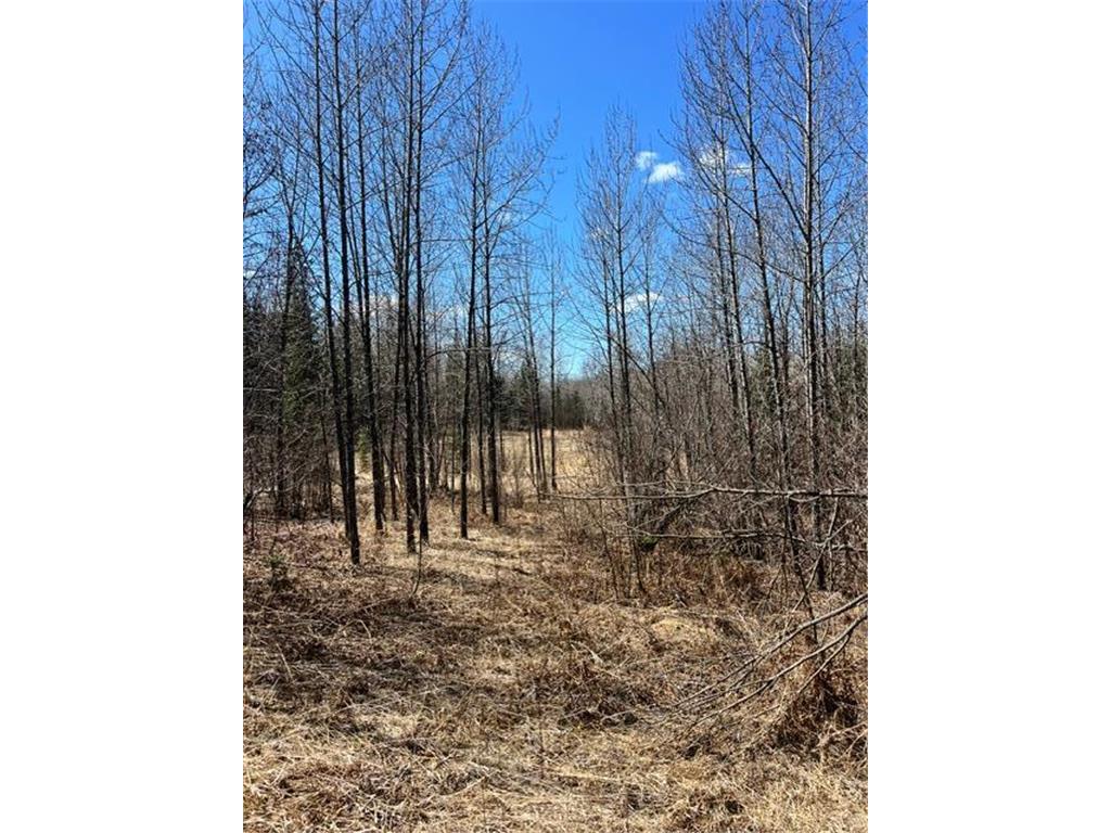 10354 County Road 553 Nashwauk Twp MN 55769 7066617 image37