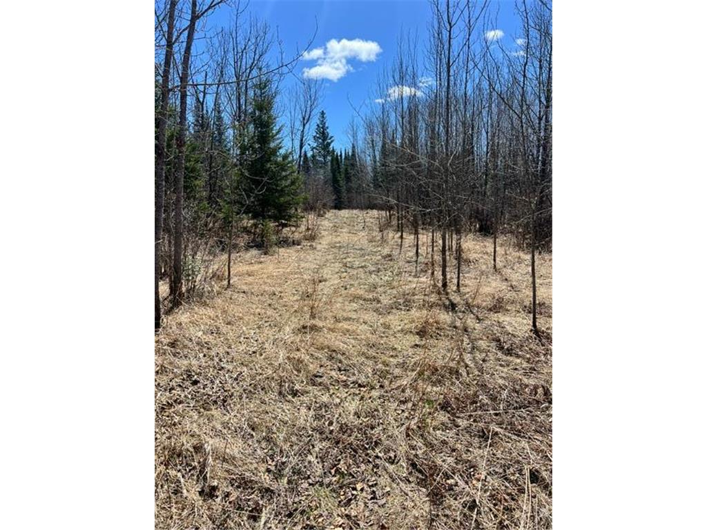10354 County Road 553 Nashwauk Twp MN 55769 7066617 image38